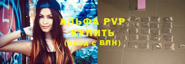 стафф Гусев