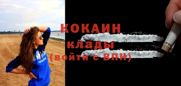 стафф Гусев