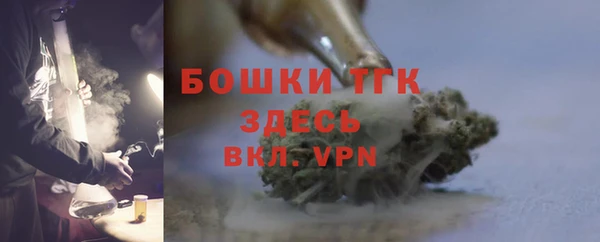 стафф Гусев