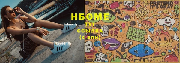 стафф Гусев