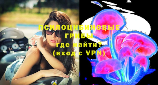 мяу мяу мука Гусиноозёрск