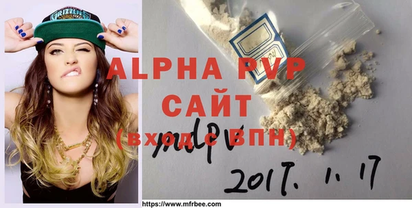 стафф Гусев