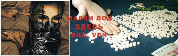 мяу мяу мука Гусиноозёрск